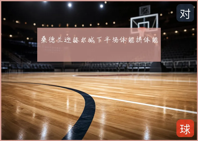 桑德兰迎赫尔城下半场体能拼体能